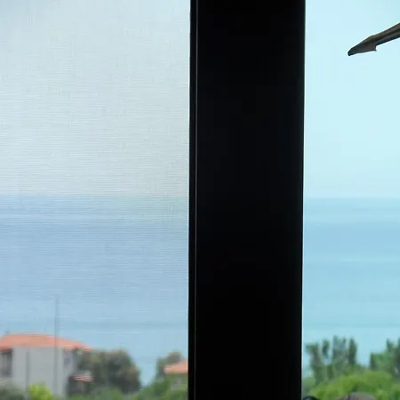 Chiara 利迈纳里亚